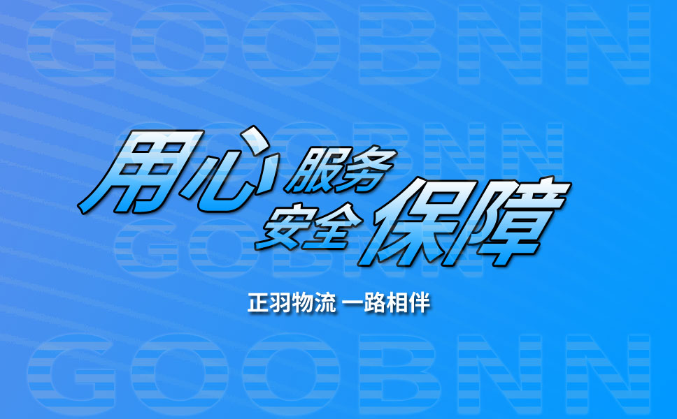 專(zhuān)業(yè)倉(cāng)儲(chǔ)服務(wù)